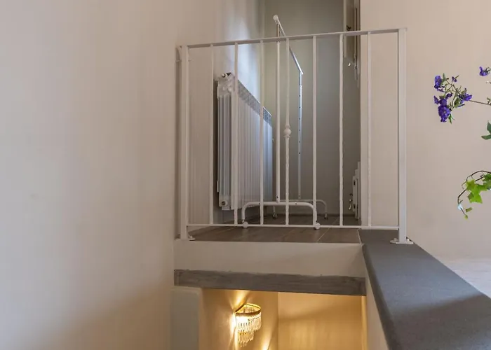 Daire David - Michelangelo