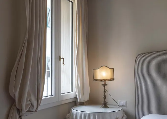 Daire David - Michelangelo